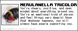 you are merulanella tricolor